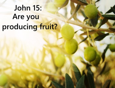John 15: Are you producing fruit? 