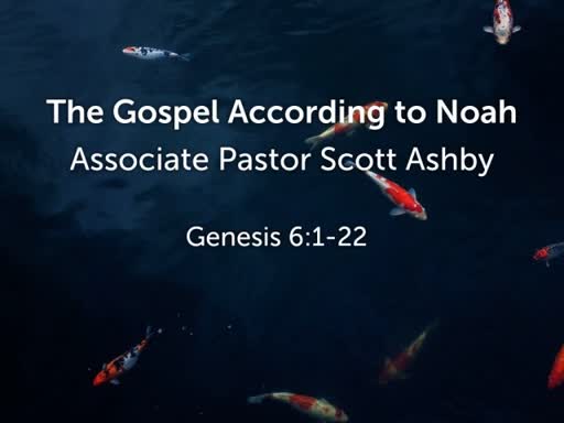 The Gospel According to Noah