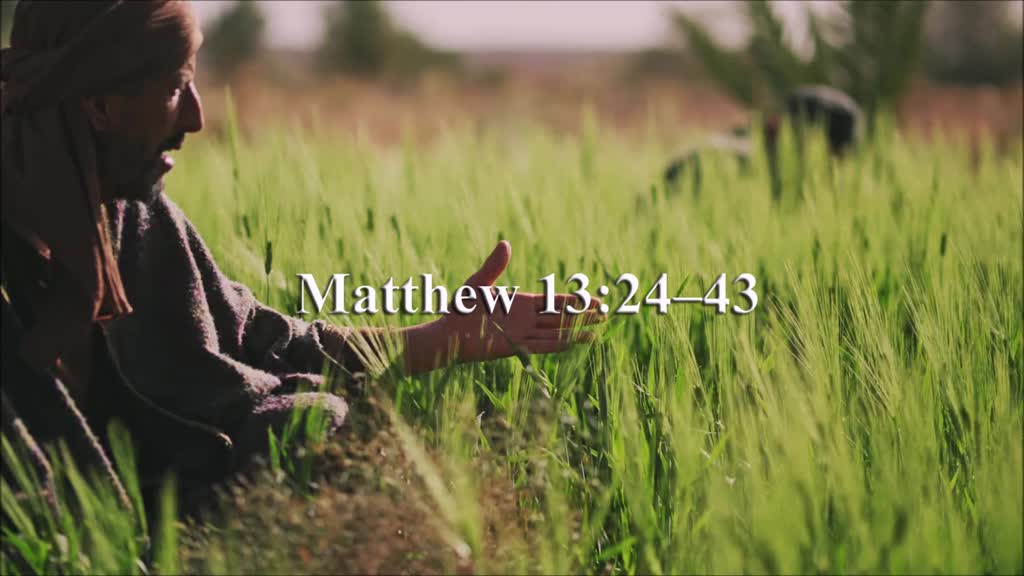 Matthew 13 24 43 Faithlife TV bsf-study-questions-matthew-lesson-13-day-5-matthew-13-24-30-36-43