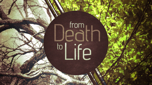 from Death to Life