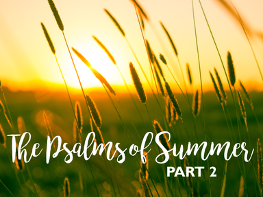 The Psalms of Summer: Part 2