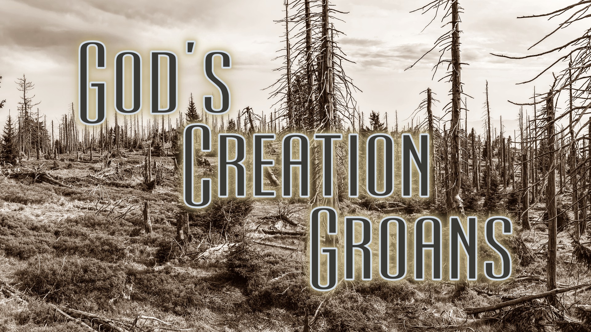 What Does It Mean That All of Creation Groans?