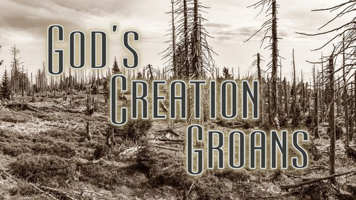 God's Creation Groans