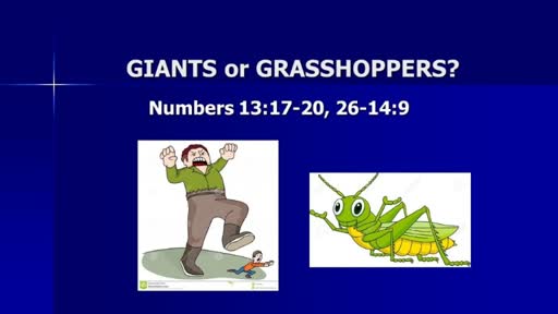 Giants or Grasshoppers?