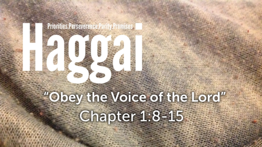 Haggai 1:8-15 "Obey the Voice of the Lord"