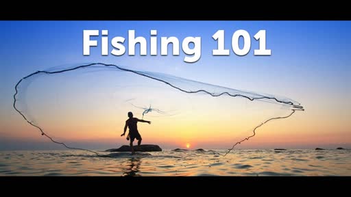 Fishing Wisdom