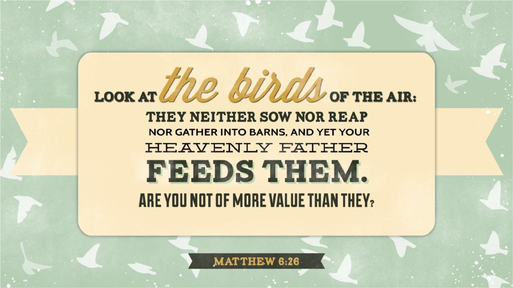 Matthew 6:26 large preview