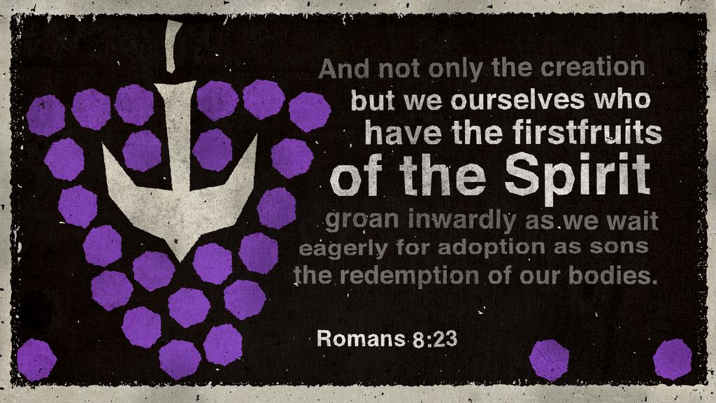 Romans 8:23 large preview