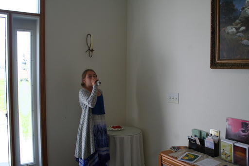 IMG 9241 IMG 9241