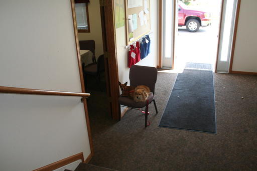 IMG 9215 IMG 9215