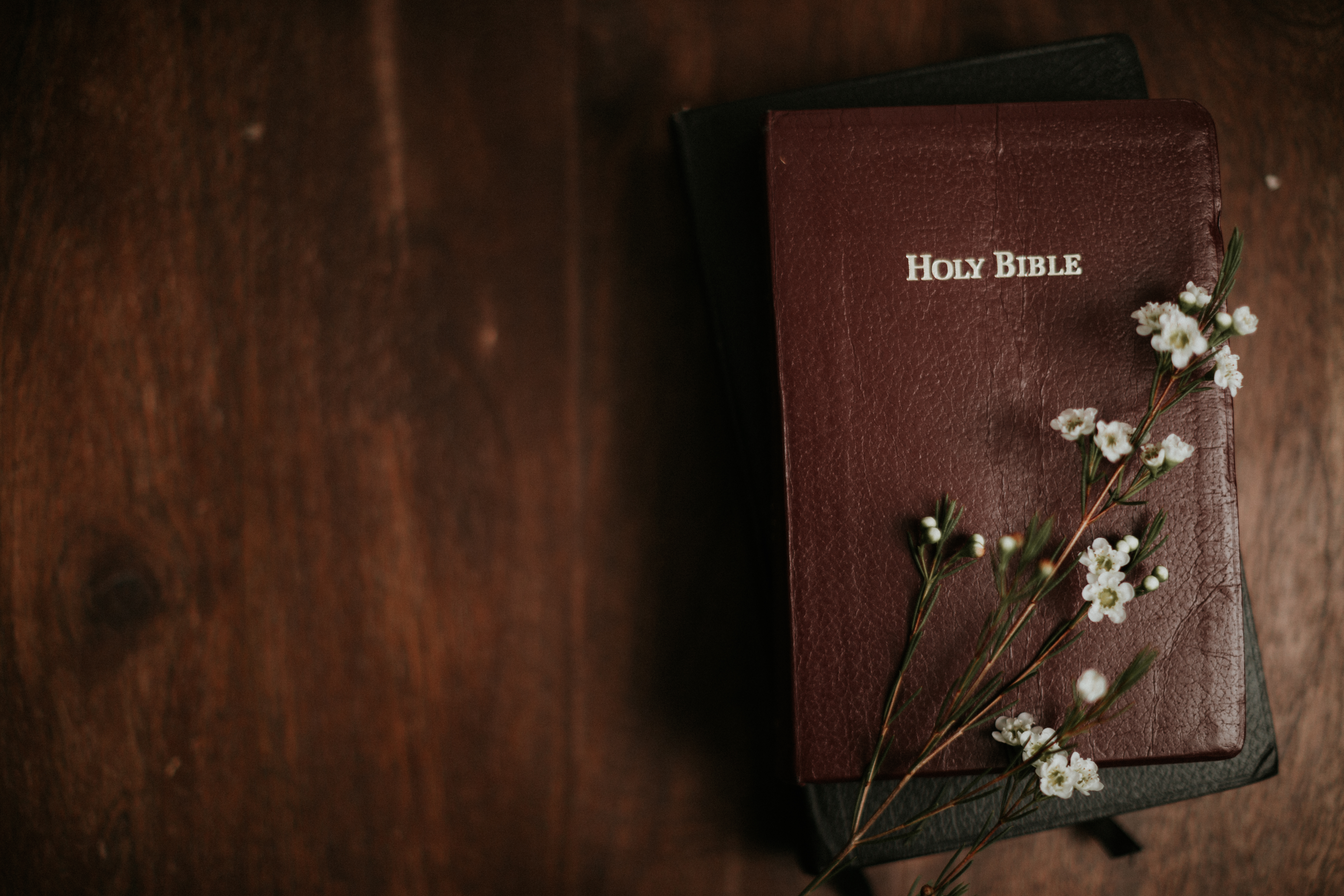 White wax flowers on closed Bibles