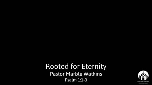 ROOTED FOR ETERNITY