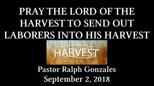 PCANTIOCH - PRAY THE LORD OF THE HARVEST TO SEND OUT LABORERS INTO HIS HARVEST - SUNDAY SEPTEMBER 2, 2018