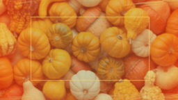 Pumpkin Patch Fundraiser  PowerPoint image 1