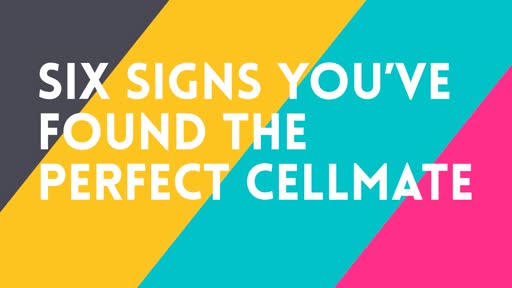 Six Signs You've Found the Perfect Cellmate