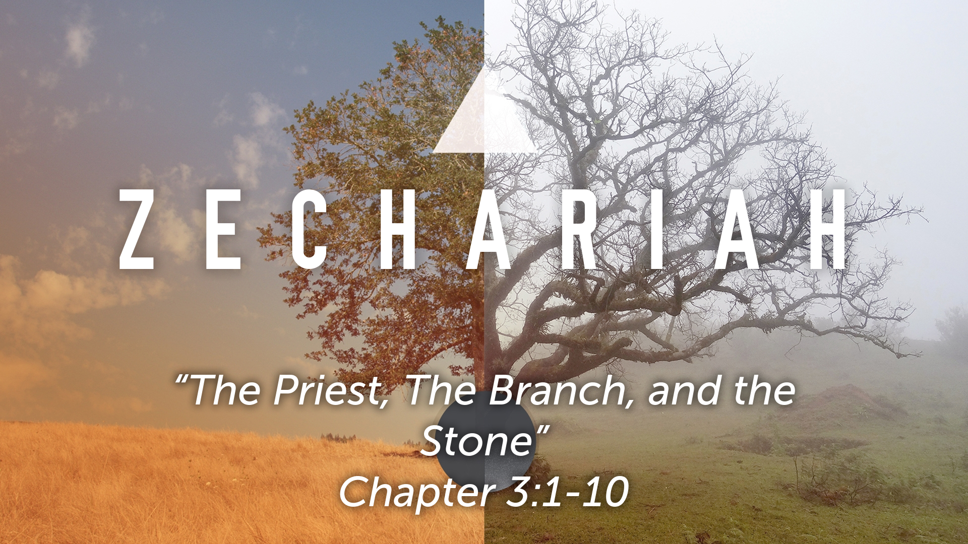 Zechariah 3110 "The Priest, The Branch, and the Stone" Faithlife