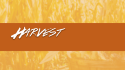 Harvest Festival  PowerPoint image 2