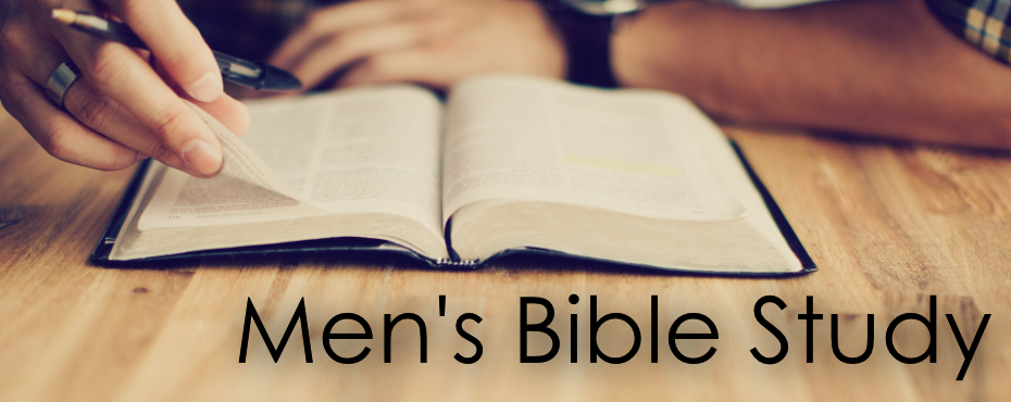 Webmensbiblestudy