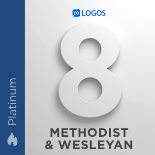 Methodist & Wesleyan Platinum