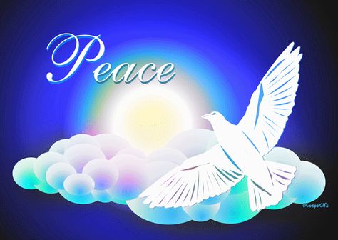 Peace Dove Peace Dove
