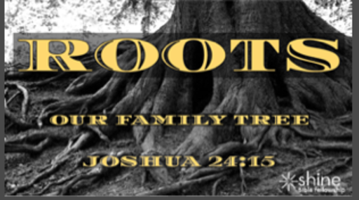 Roots - Our Family Tree Part 3