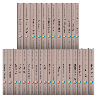 Exegetical Summaries Series (32 vols.)