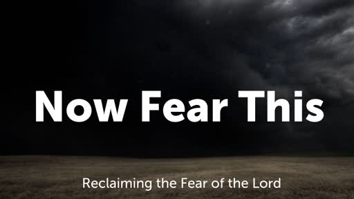 Now Fear This - Week 3/3