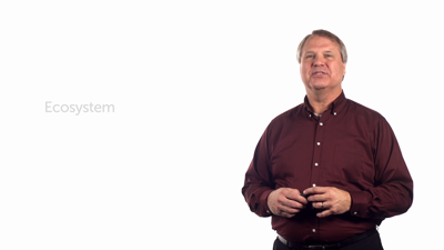 The Thinking-Feeling Ecosystem