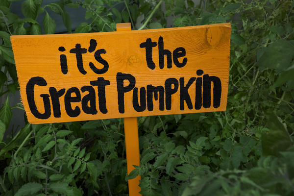 It's the Great Pumpkin, Charlie Brown! It's the Great Pumpkin, Charlie Brown!