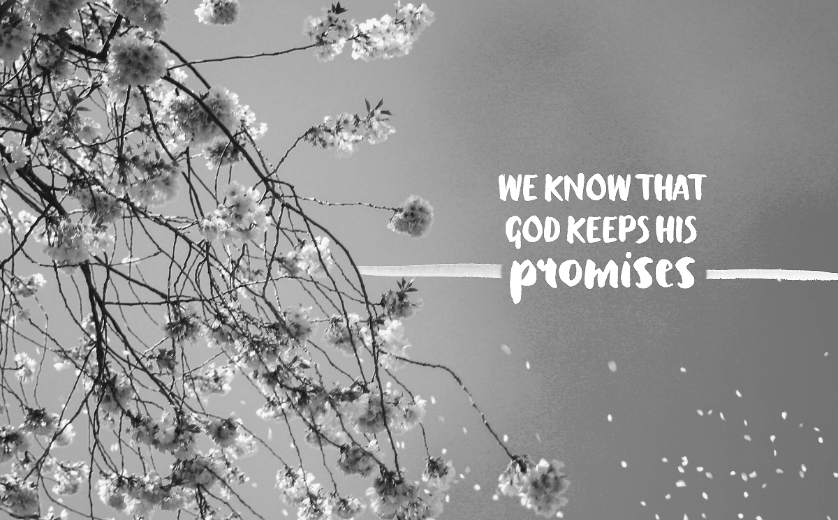 Connecting Promises To Fulfillment - Logos Sermons