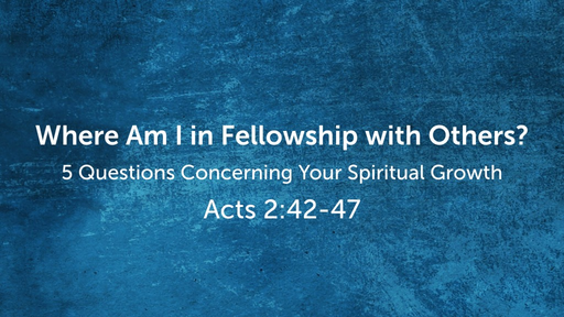 Where Am I in Fellowship with Others? 