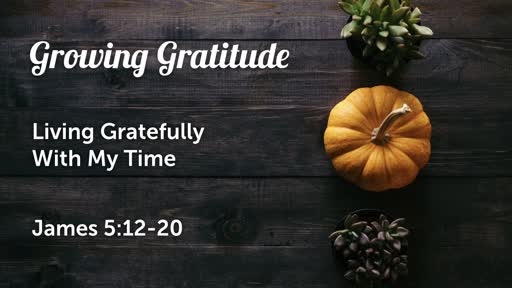 Growing Gratitude | living gratefully with my time