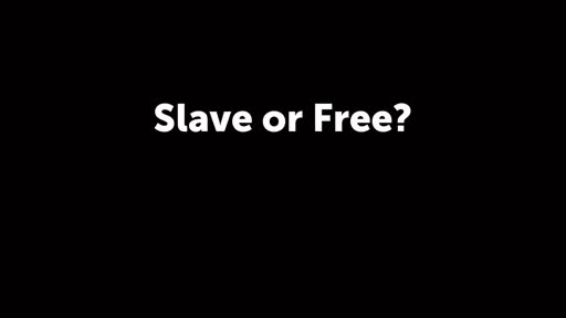 Slave or Free?