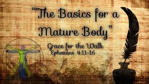 GBFsilt the Basics for a Mature Body