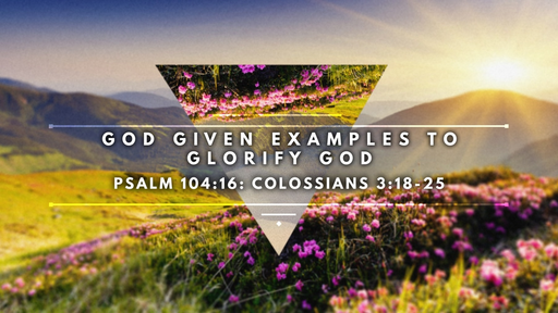 44 God Given Examples to Glorify God (11-04-18)