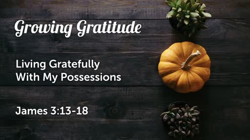 Growing Gratitude | living gratefully with my possessions