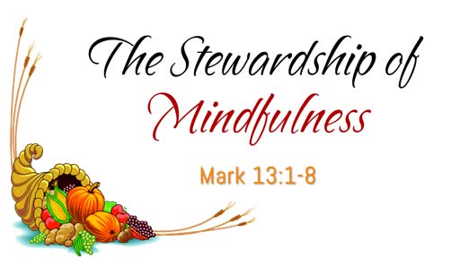 The Stewardship of Mindfulness
