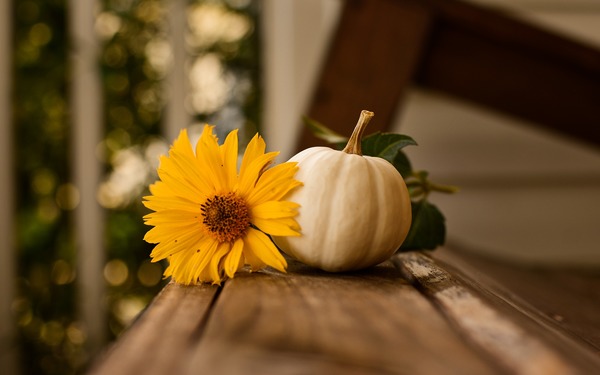 Thanksgiving & Christian Discipleship Thanksgiving & Christian Discipleship