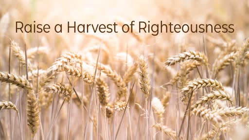 Raise a Harvest of Righteousness