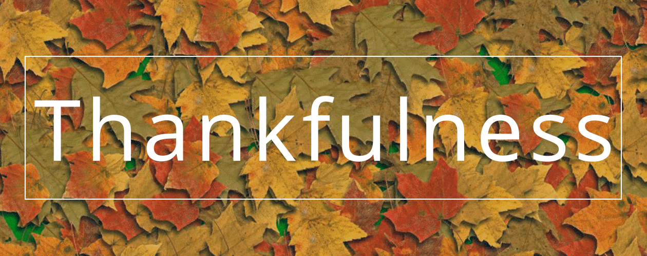 Thankfulness Thankfulness