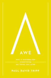 Awe Cover