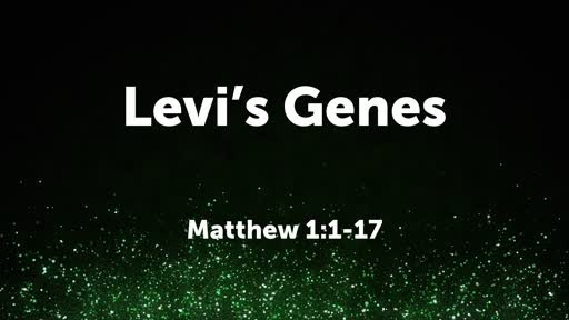 Levi's Genes