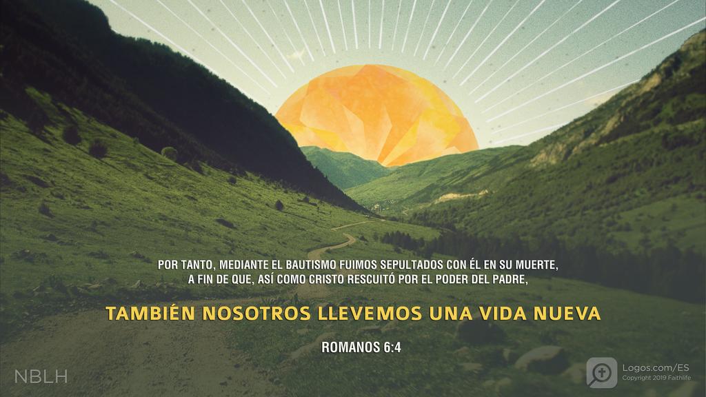 Romanos 6:4: POR TANTO, MEDIANTE EL BAUTISMO FUIMOS SEPULTADOS CON ÉL EN SU MUERTE, A FIN DE QUE, ASÍ COMO CRISTO RESCUITÓ POR EL PODER DEL PADRE, TAMBIÉN NOSOTROS LLEVEMOS UNA VIDA NUEVA