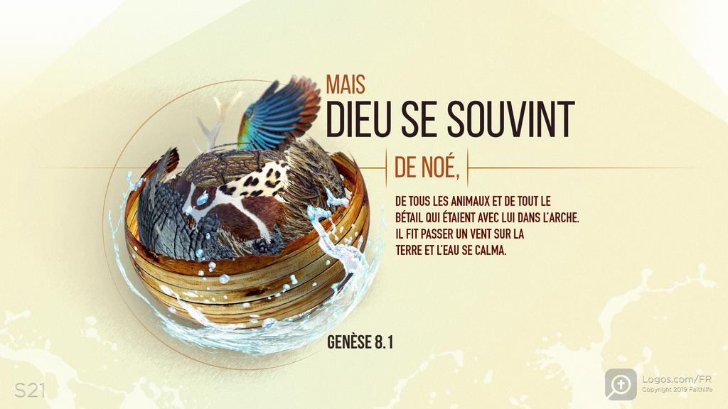 Genèse 8.1: MAIS DIEU SE SOUVINT DE NOÉ, DE TOUS LES ANIMAUX ET DE TOUT LE BÉTAIL QUI ÉTAIENT AVEC LUI DANS L’ARCHE. IL FIT PASSER UN VENT SUR LA TERRE ET L’EAU SE CALMA.