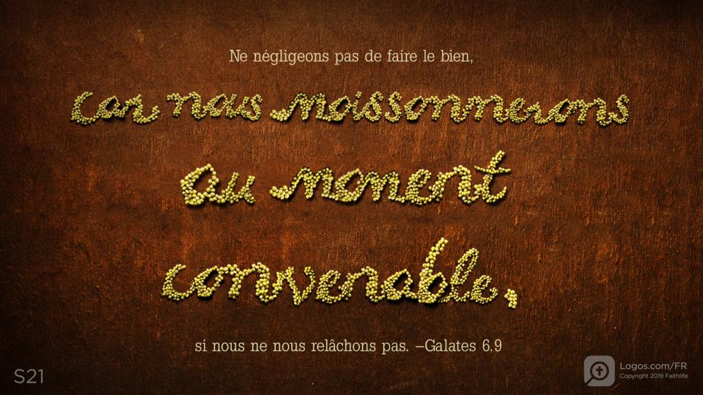 Galates 6.9: Ne négligeons pas de faire le bien, car nous moissonnerons au moment convenable, si nous ne nous relâchons pas.