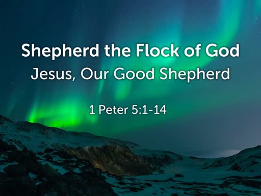 Shepherd the Flock of God