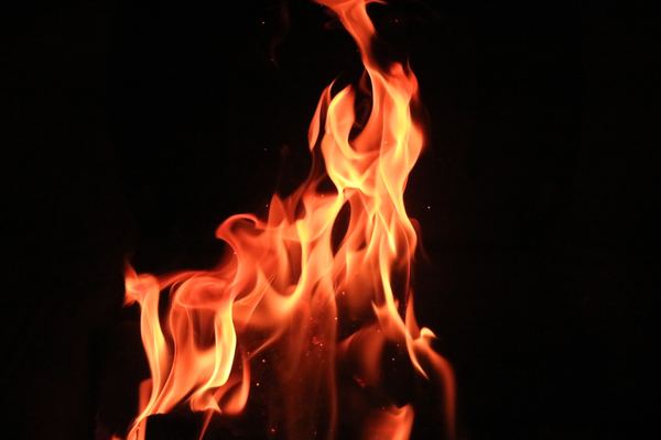 The Drastic Effects of Sin The Drastic Effects of Sin