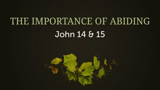 The Importance of Abiding