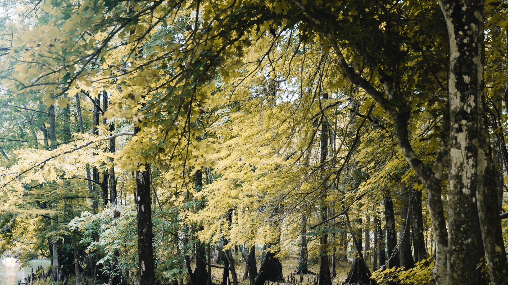 Jackie Chan hopes to be remembered like Buster Keaton Logos Sermons