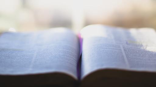 Stories About God’s Word